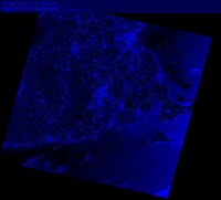 Landsat satellite image of Massachusetts with green light data displayed in blue layer