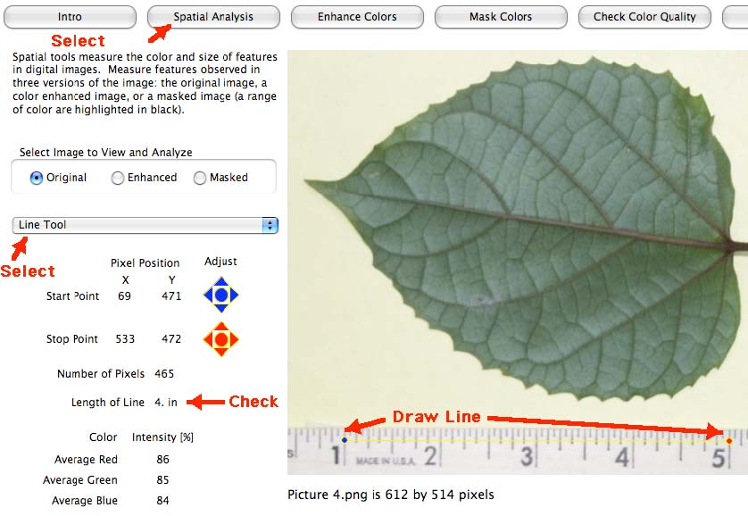 screen shot - draw a line for calibration