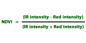 NDVI equation