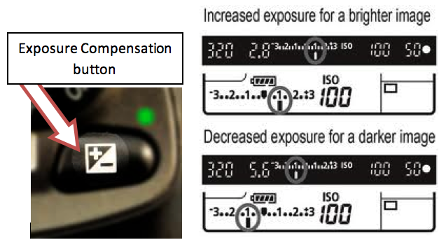 Exposure compensation button