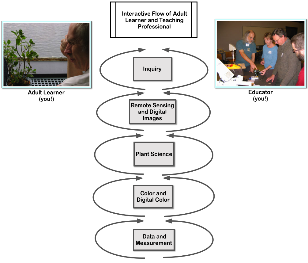 Interactive flow diagram