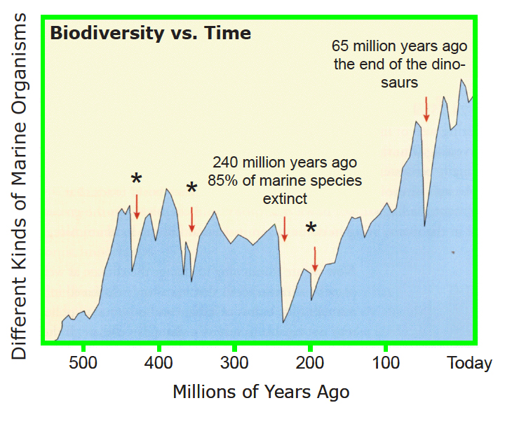 graph of biodiversity vs time
