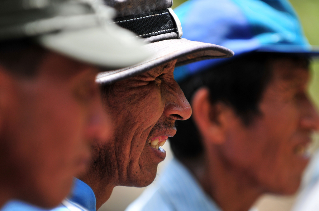 Three farmers: tres amigos