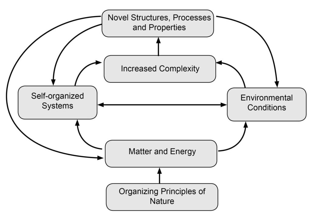 Self-Organizing Systems concept map