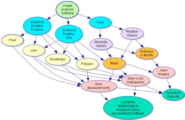 Features of AnalyzingDigitalImages software