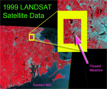 1999 landsat image