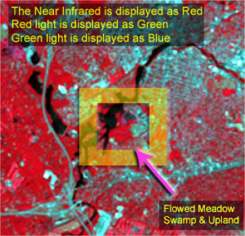 1999 landsat image, zoom in