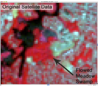 Landsat image before clustering.