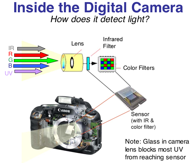 Diagram of where light goes in a digital camera