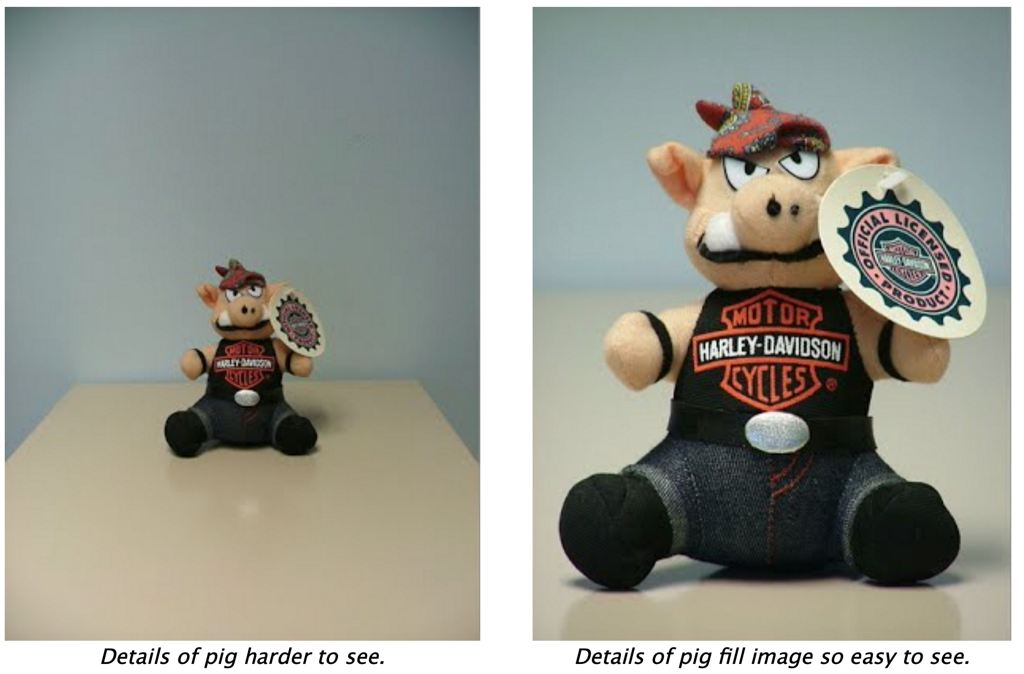 Pigs filling and not filling the picture frame
