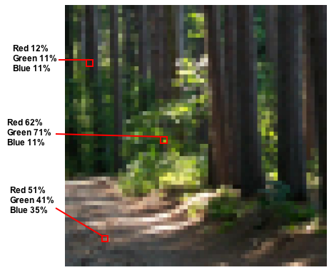 Low resolution image of a forest with color values of pixels labelled