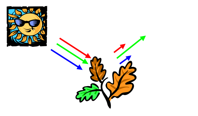 Diagram indicating stressed plants don't absorb as much red and blue light