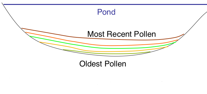 Pollen layers at the bottom of a pond, color coded