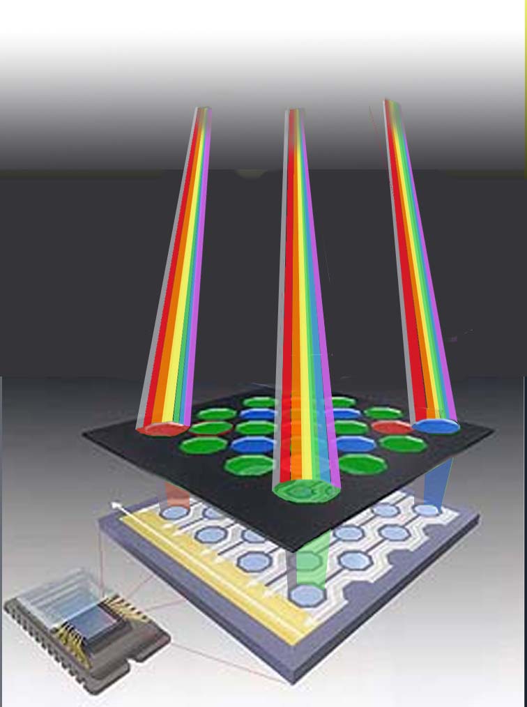 What happens  to visible light entering a digital camera.