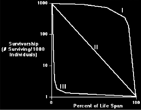 This Figure Illustrates the Three Types of Survivorship Curves 